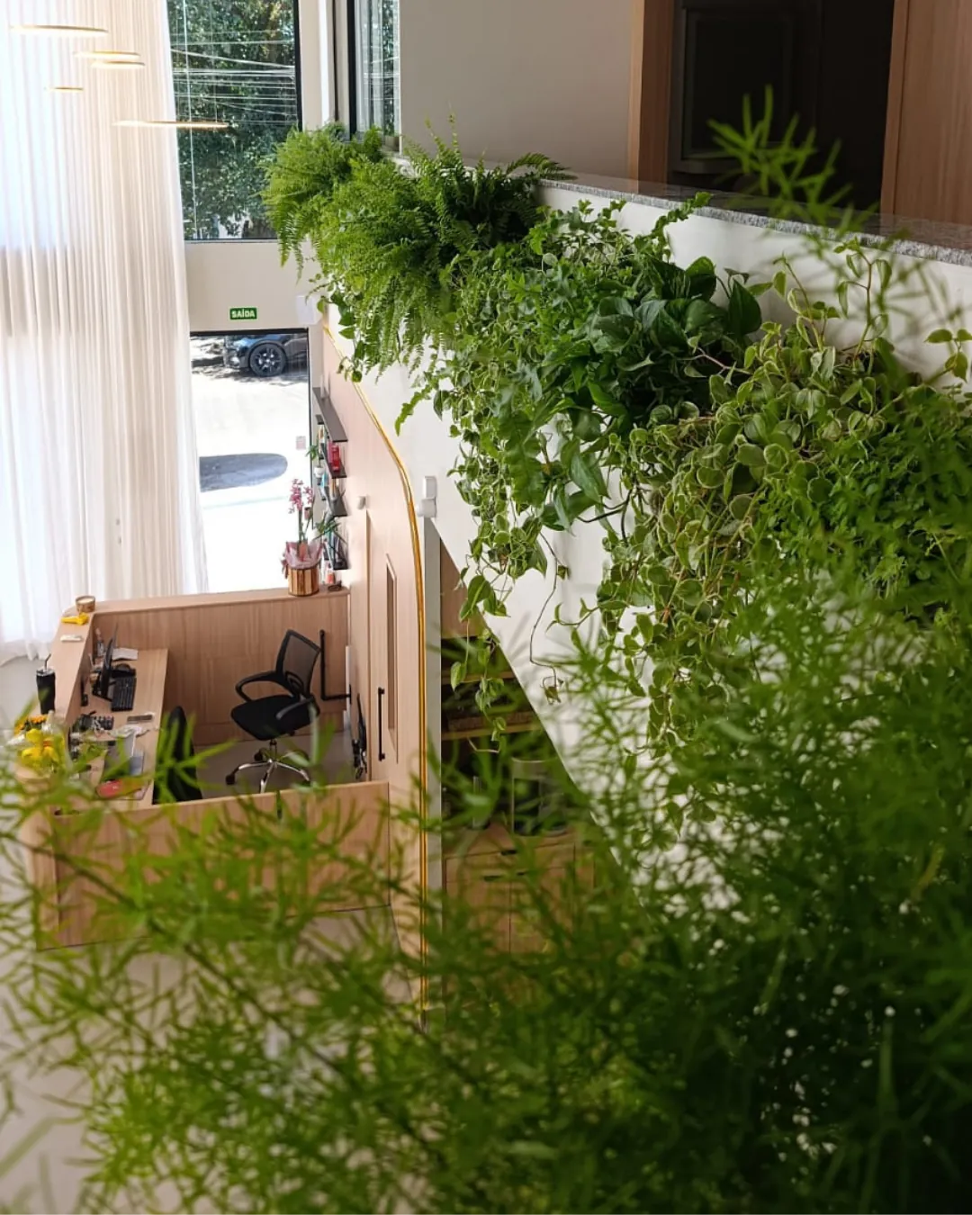 ​Jardim vertical em áreas residenciais e comerciais
