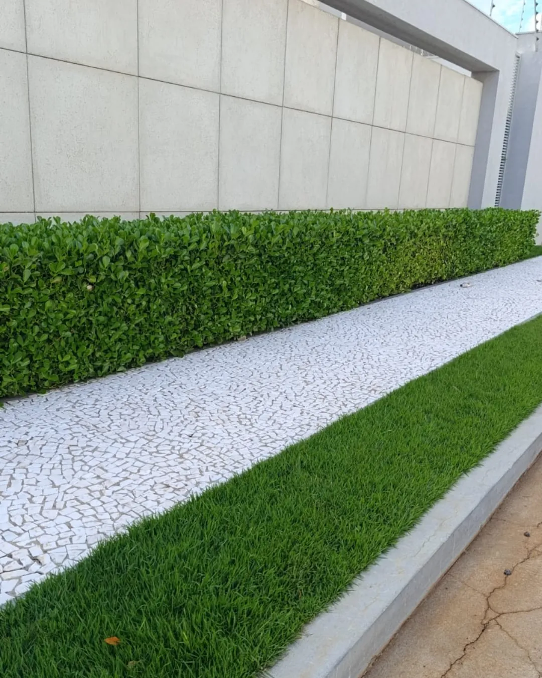 Projeto paisagístico 1